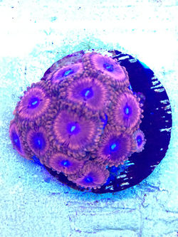 9E101D60-E225-4421-AD67-16C2866B146A