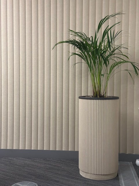 Flora