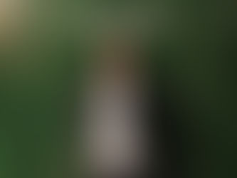 ロエベ表参道旗艦店オープンに北野武、米津玄師、本田翼など豪華ゲストが来場