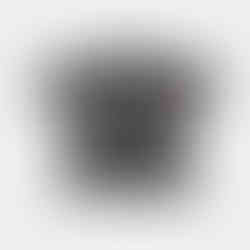 MUSIC EXPO2025-Tシャツ1