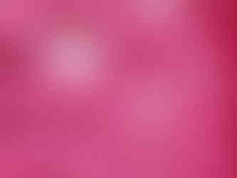 YSL BEAUTYイベント