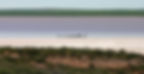 loch eel