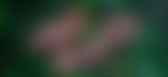  Five Self-Care Tips for Expat Life 