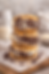 Ice Cream Sammies