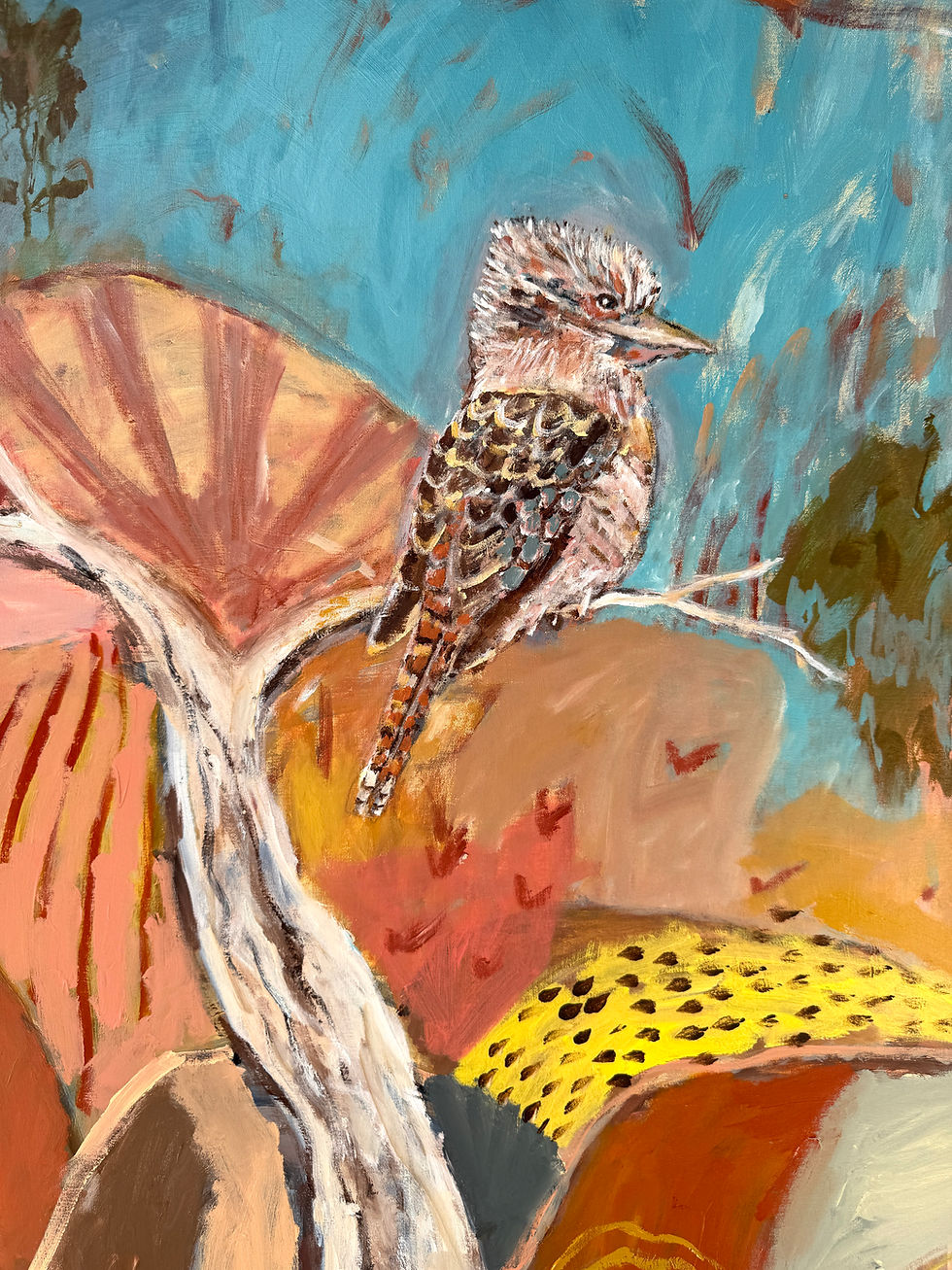 Thumbnail: where the kookaburra waits 