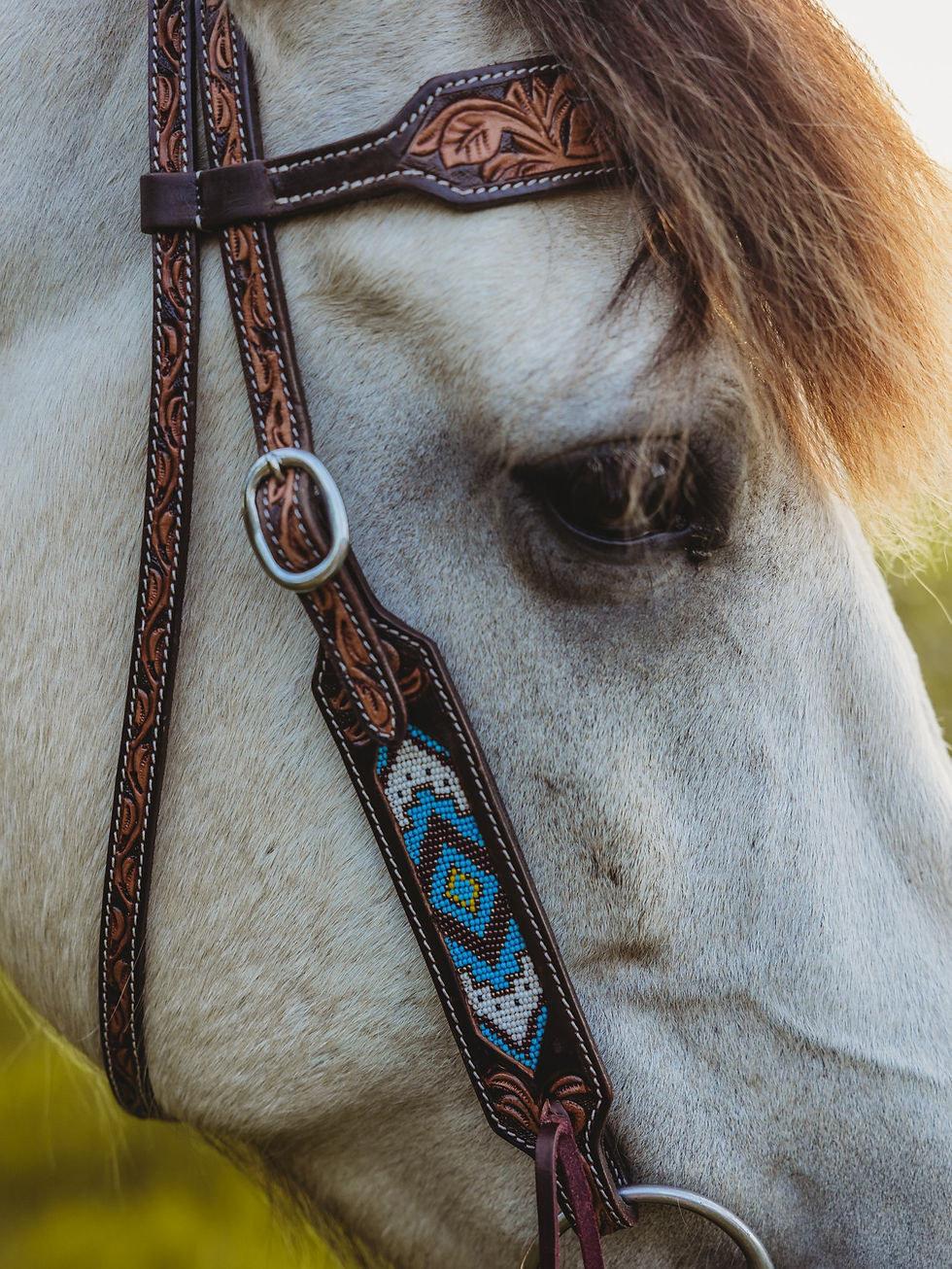 Thumbnail: CORNFLOWER PRAIRIE HEADSTALL