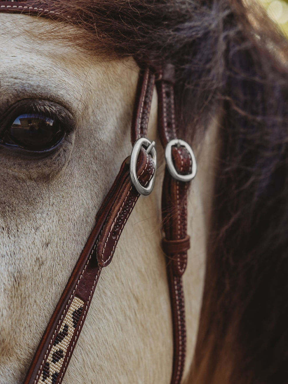 Thumbnail: DUSTY LEOPARD HEADSTALL