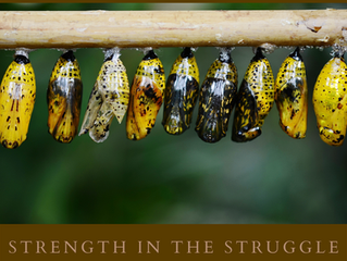 Strength in the struggle