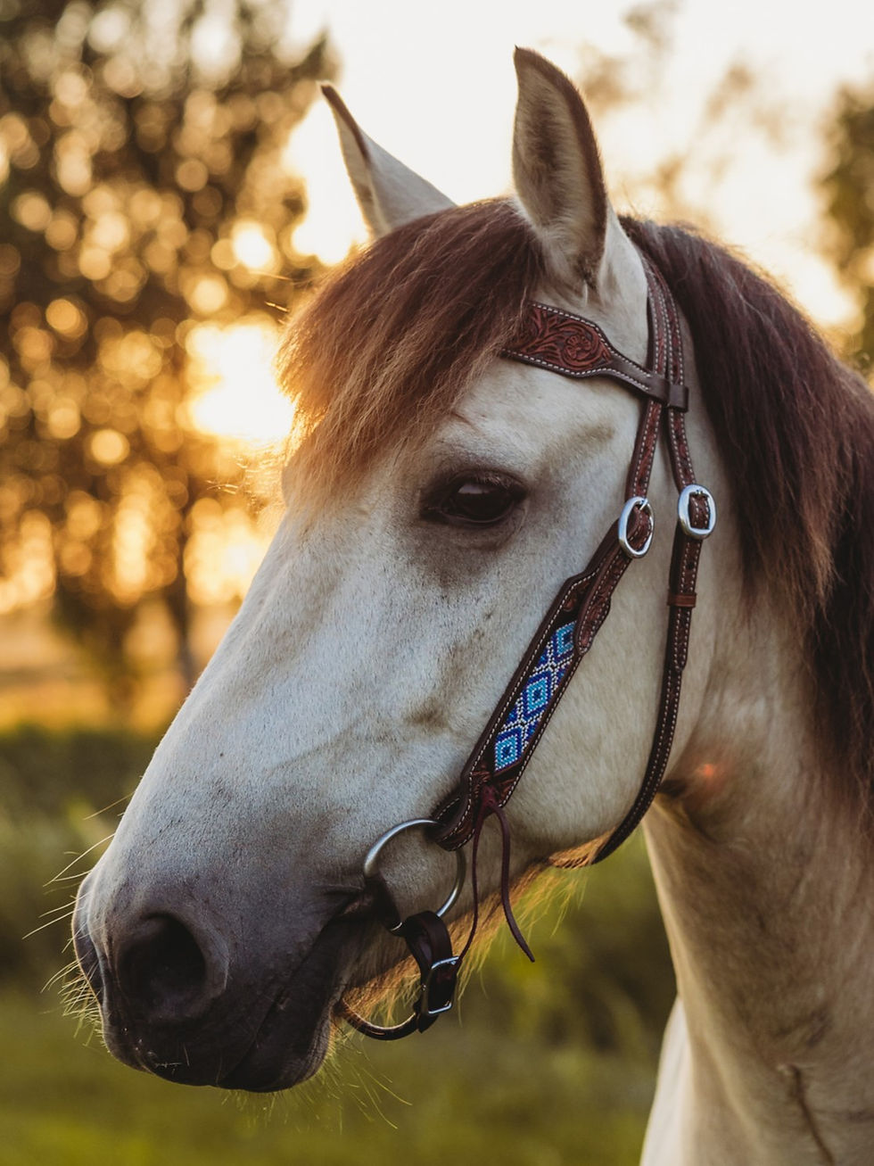 Thumbnail: SKY DANCER HEADSTALL