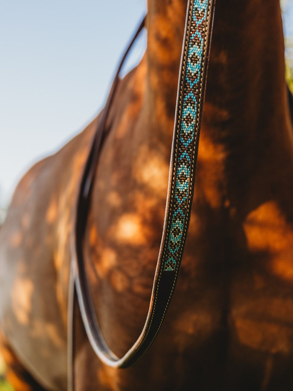 Thumbnail: CORNFLOWER PRAIRIE REINS