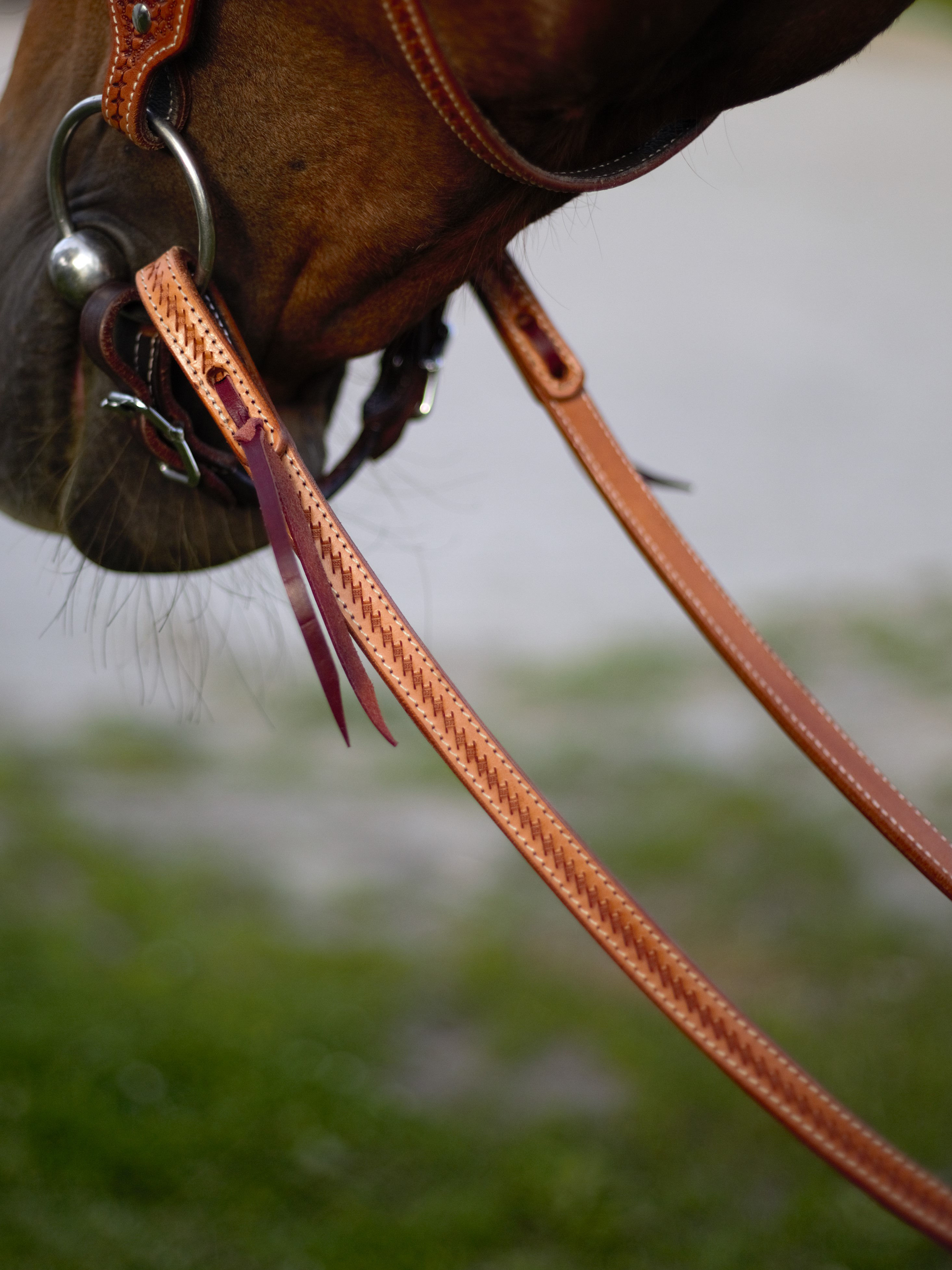NATURAL BEAUTY REINS