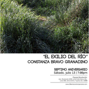 Constanza Bravo Granadino | 13 de julio | 7:00pm en 206 arte contemporáneo