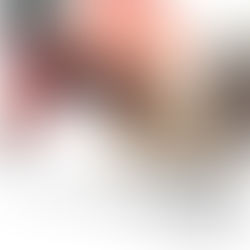 Presentación del proyecto: “Conversatorios y exposiciones, ciclo 2018-2019 en 206 arte contemporáneo