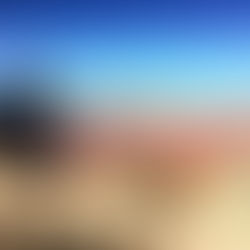 {Absolutely} Another Life Blog