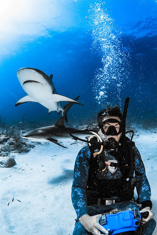Tredd Smith diving with two Caribbean reef sharks in the Bahamas