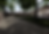 Backyard Rendering