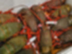 A shot of pristine ingredients like fish, meat, and vegetables, highlighting our commitment to quality and freshness