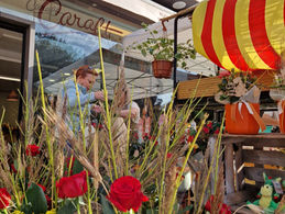 El Sant Jordi de les botigues del Centre de Sabadell