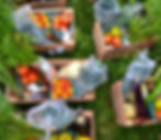 vegetableboxestogo2