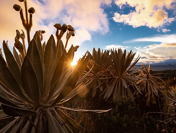 Parque Nacional Natural Purace.jpg