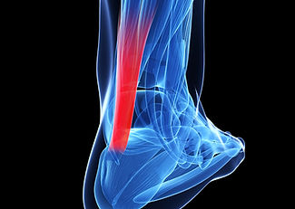 Ankle-2.jpg