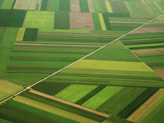 Pontifax AgTech Fund I raises $105M