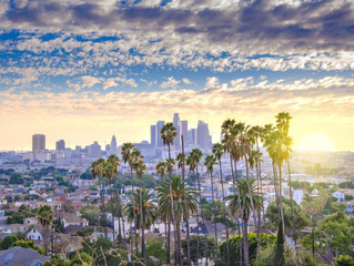 Pontifax AgTech, Provivi & The Bouqs Highlighted as Elements of LA AgTech Innovation Hub