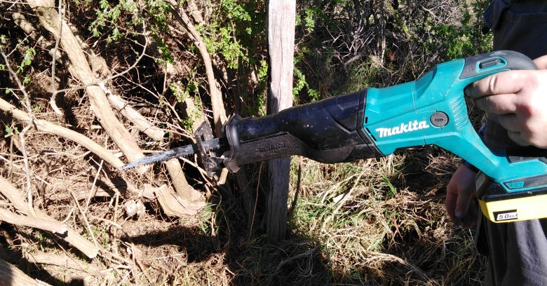 cutting boxthorn.jpg