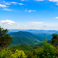 Untitled design (45).png