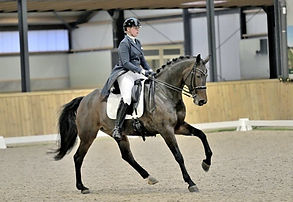 Lord Leatherdale Oscar 1.jpeg