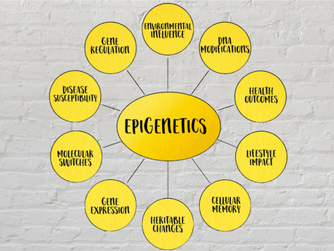 Epigenetic Explained