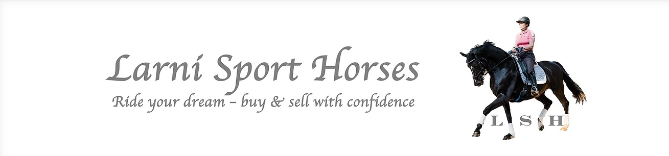 Screenshot 2025-03-19 at 21.39.52.png