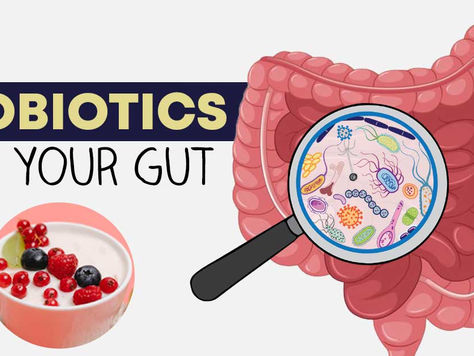 Probiotics Gut Health Microbiome