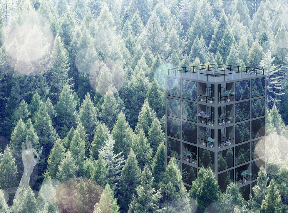 Ozymandias Picturesque