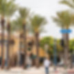Laundry Service in Westwood