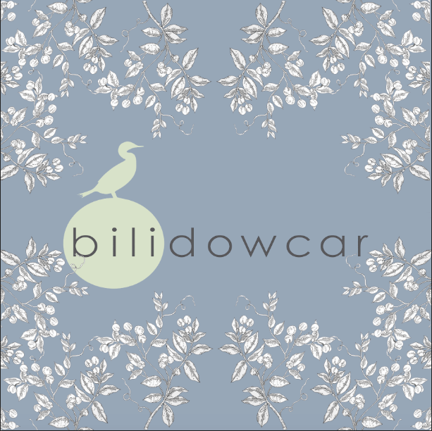 © bilidowcar Stand Design