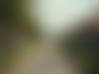 Cómo elegir el vecindario ideal para tu familia