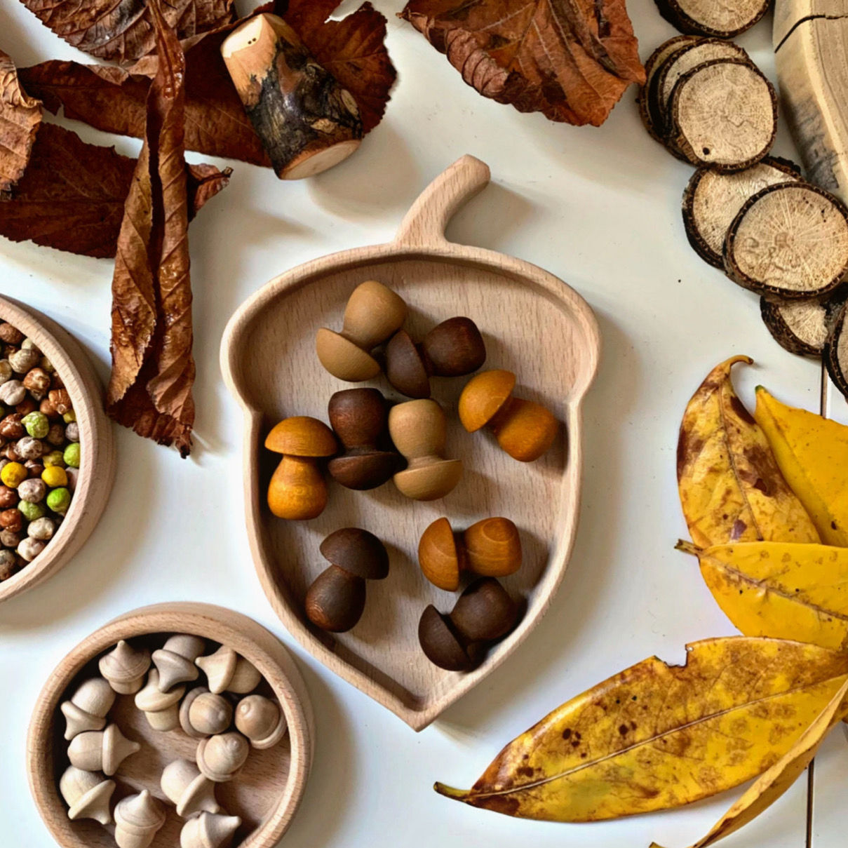 Acorn Tray