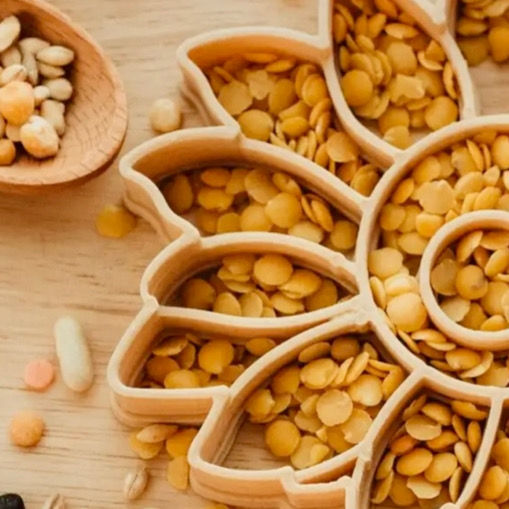 Thumbnail: Sunflower Eco Cutter