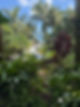 IMG_0063.jpeg