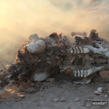 rabbit skull fire and smoke animal bones in the desert