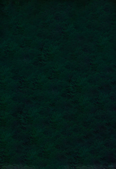 Connexion-extatique_fond-foret.jpg