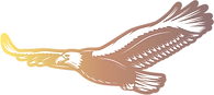 aigle-degrade_edited_edited_edited.png