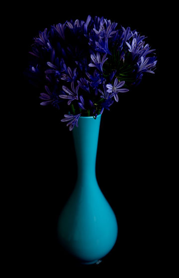 Light blue vase.jpg