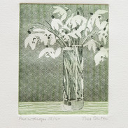 Snowdrops (unframed)
£40.00