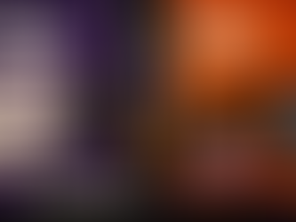 Who pays? The burden of tax extraction