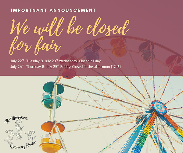 importnant ANNOUNCEMENT (1).png