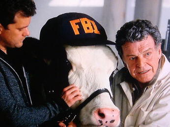 Fringe