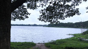 Adrenaline rush, Burgeoning Neighbourhood, Ramya Hotel and Nature @ Kukkarahalli Lake