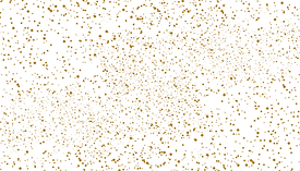 Aurélie GERMAIN (2).png